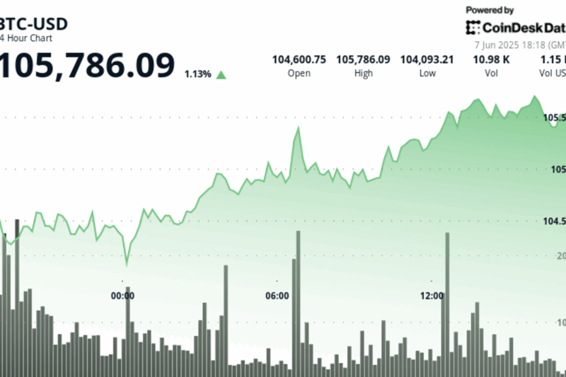 Bitcoin Holds Above $105K Despite Donald Trump’s Threats Against Elon Musk