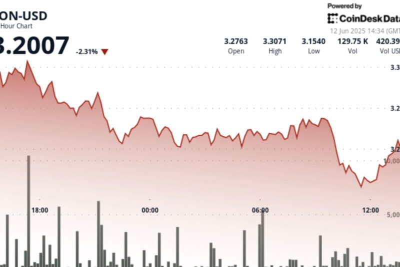 TON Slips as Selling Pressure Mounts Despite Recovery Attempts