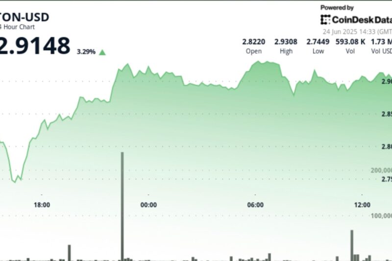 TON Up 3% After Volatile Session, Establishing New Support Level
