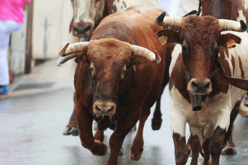 Crypto Daybook Americas: Bitcoin Retreats From $108K, But Bulls Aren’t Done