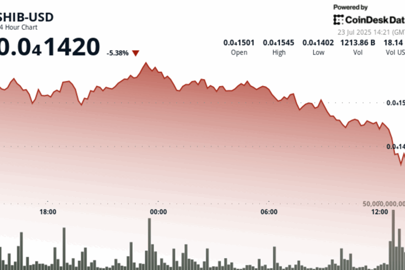 Shiba Inu Tanks 7% With Broader Market, But Outperforms DOGE