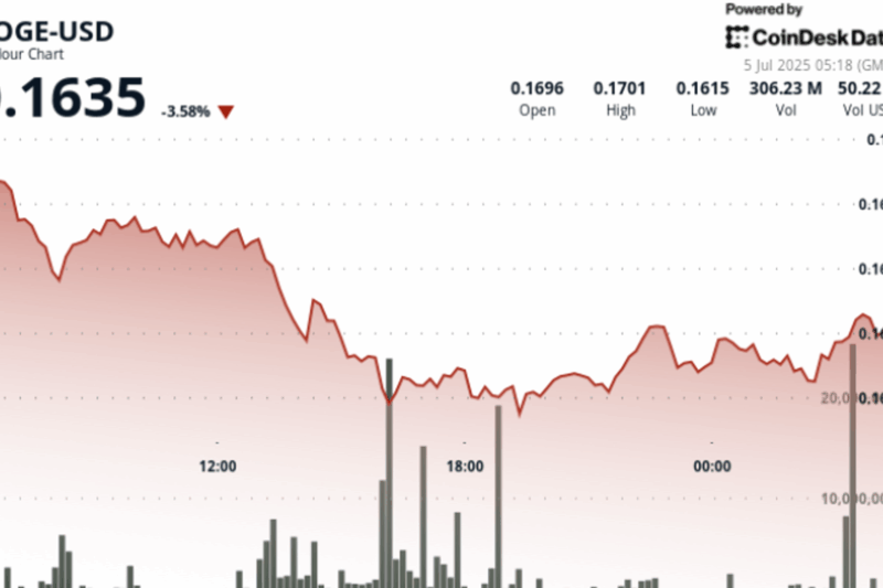 Dogecoin Holds 16 Cent Support as Bulls Defend Multi-Week Floor