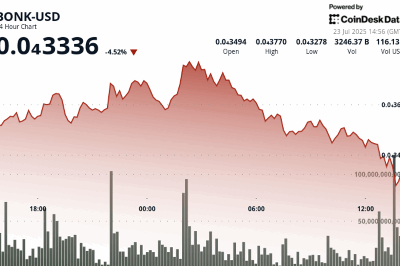 BONK Tests Support Levels After High-Volume Drop