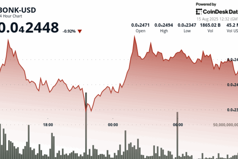 BONK Holds Key Support After Heavy Selling Hits Solana Meme Token