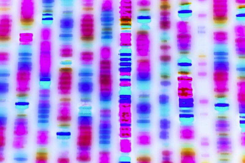 Optimism Taps Flashbots to Supercharge OP Stack Sequencing