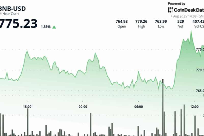 BNB Climbs Then Retraces Amid $500M Treasury Push