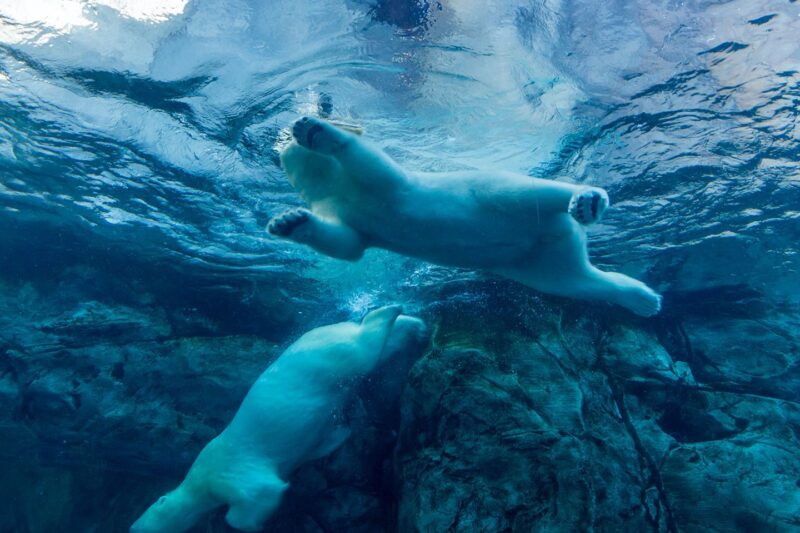 Crypto Carnage Continues Even as Gold, Bonds Surge on Soft U.S. Jobs Data