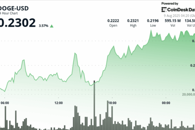 DOGE Hits 23-Cents on Whale Buying, Supply Zone Stalls Breakout