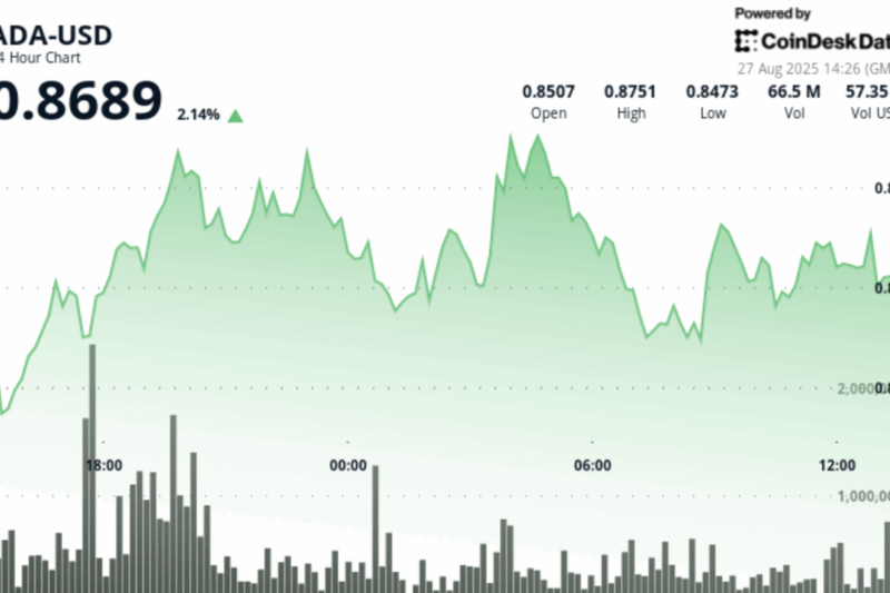 Cardano Gains 2%, Shrugs Off ETF Delay