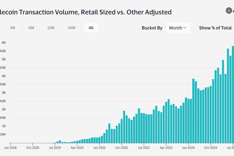 Stablecoin Retail Transfers Break Records in 2025, Hit $5.8B in August