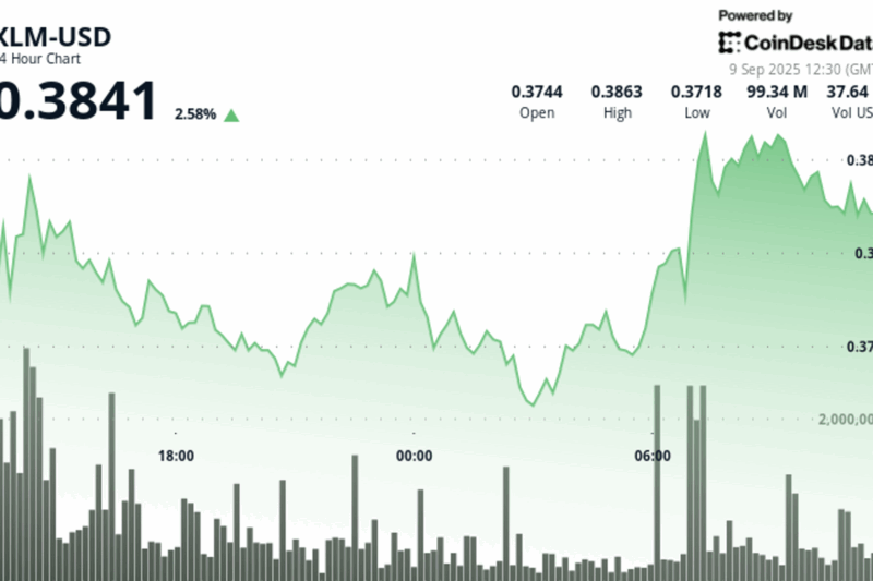 Stellar’s XLM Token Gains 4% as Technical Indicators Signal Institutional Interest