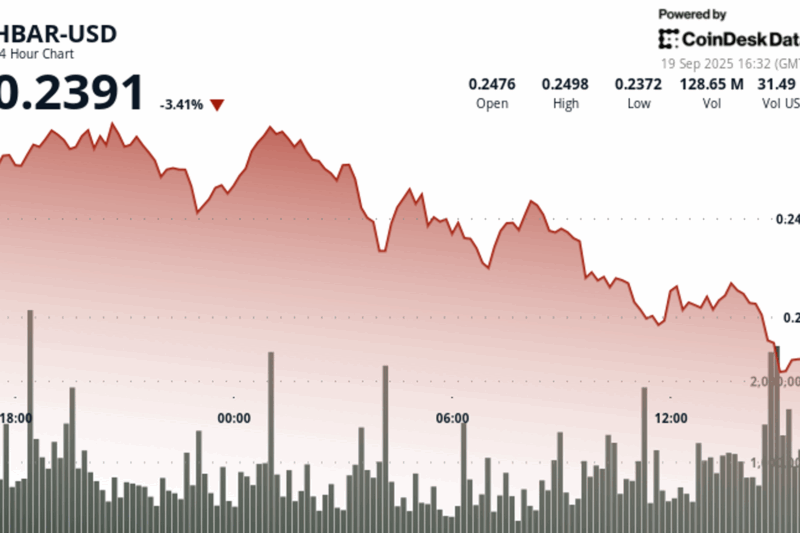 HBAR Slides 3% as Selling Pressure Intensifies, Finds Support at $0.24