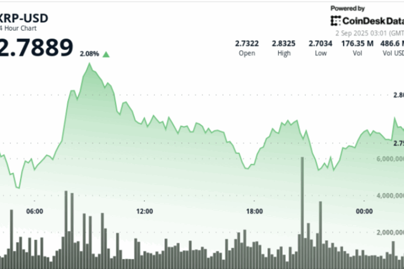 XRP Consolidates Below $3 as RSI and MACD Signal Potential Breakout