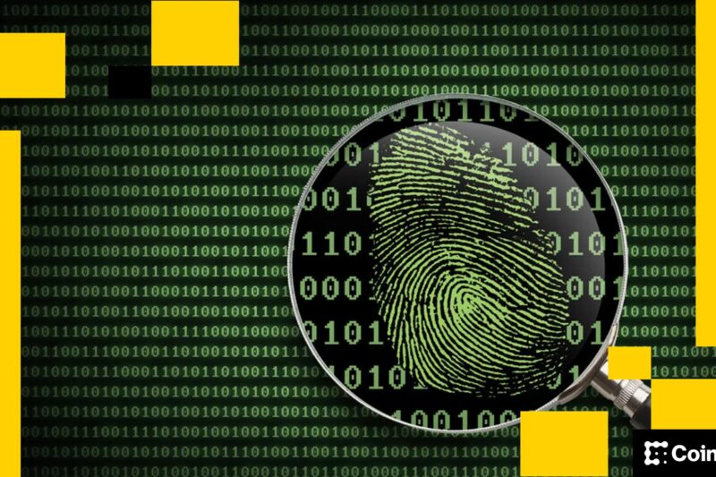 Elliptic Warns of Industrial-Scale Pig Butchering Scams Laundering Through Crypto