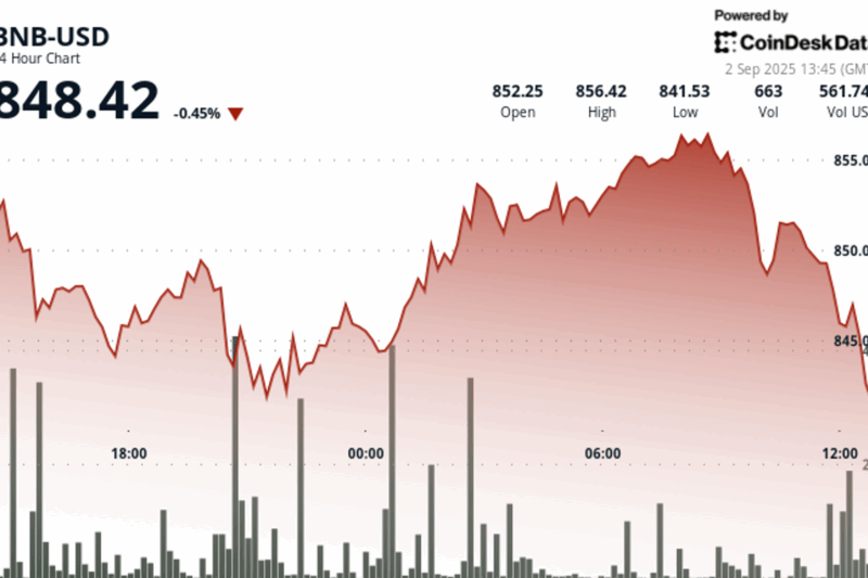 BNB Hovers Near $850 After Brief Rally Above $855 as Sellers Return