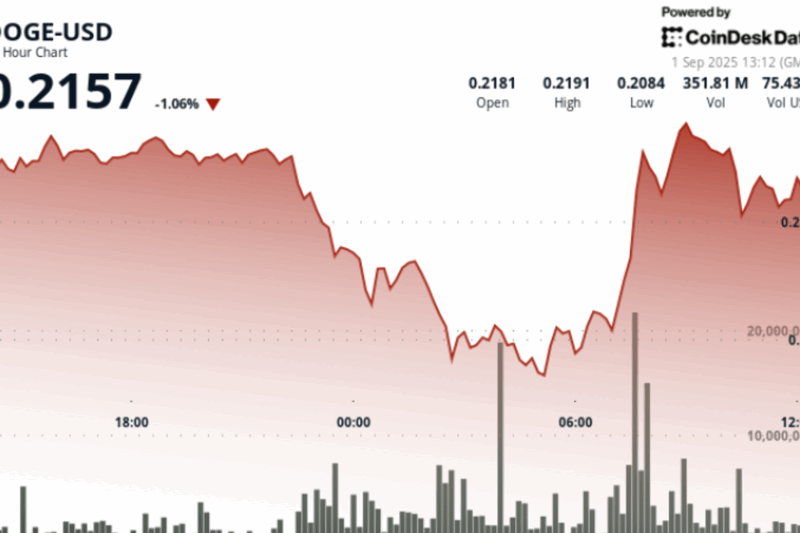 Dogecoin Price Hits $0.22 Resistance on Volume Spike. What’s Next?