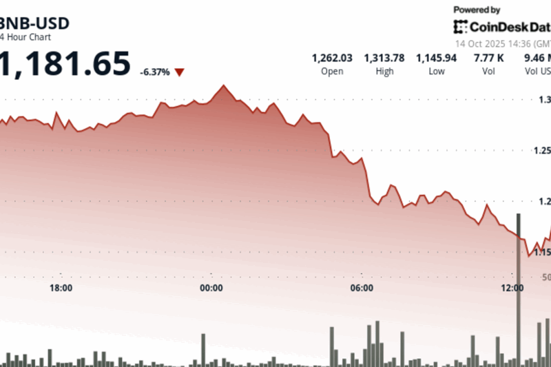 BNB Slides 6.5% After Hitting All-Time High After $500B Crypto Rout