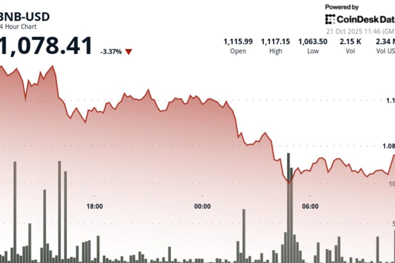 BNB Falls 3.3% as Market Shakeout Cuts Through Support