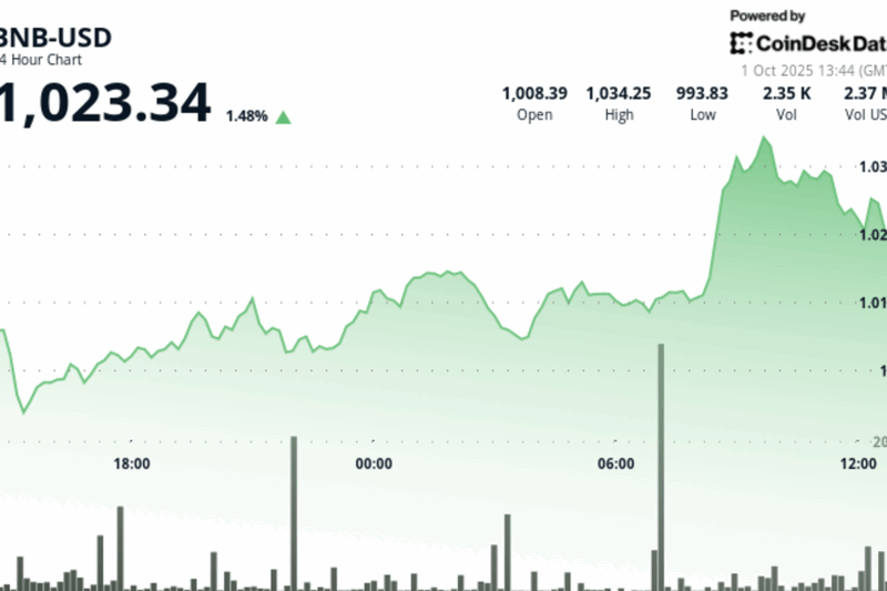 BNB Edges Higher As Community Rallies After X Account Hack
