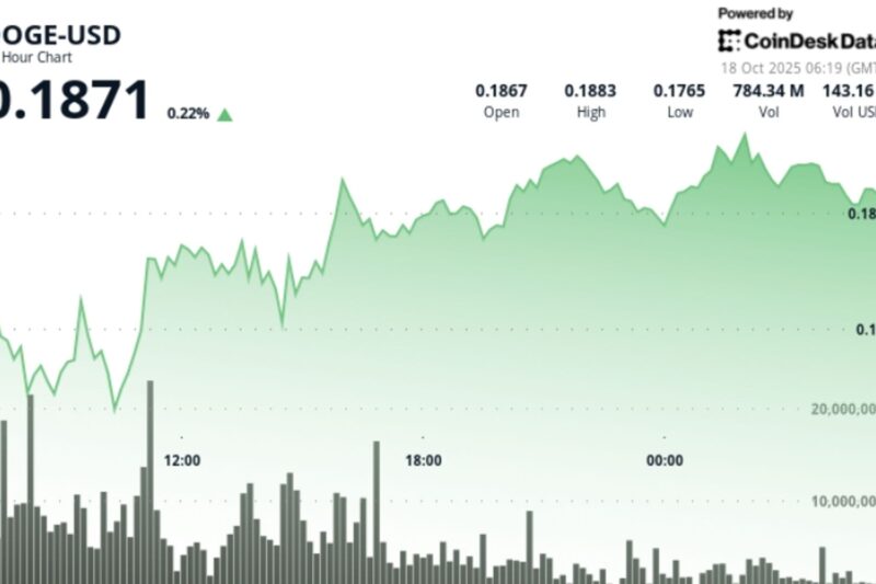 DOGE Finds Support After Tariff-Led Selloff, Market Awaits Next Catalyst