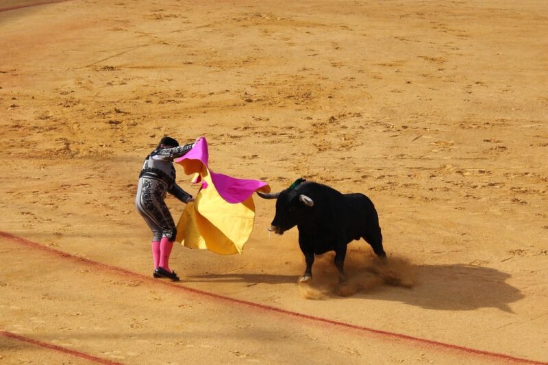 Crypto Markets Today: BTC Reclaims $110K as Softer CPI Boosts Market Sentiment, Altcoins Lag