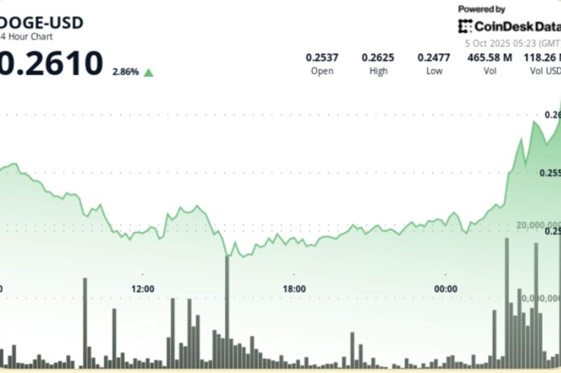 DOGE Rallies 3% Back Above $0.26 as Traders Target $0.30