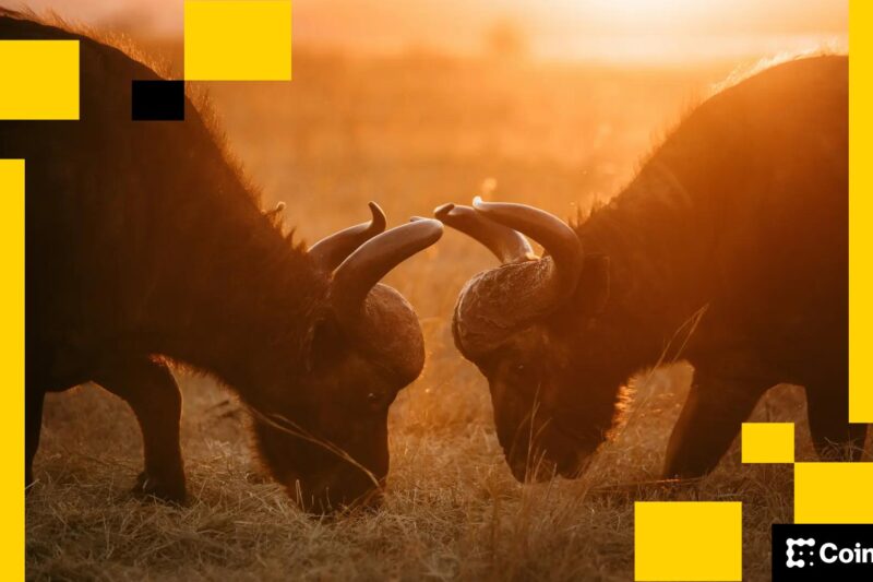 Tether and Circle’s Dominance Is Being Put to the Test