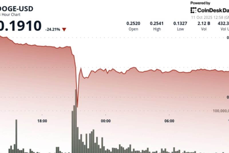 DOGE Suffers 50% Flash Crash Before Stabilizing Near $0.19