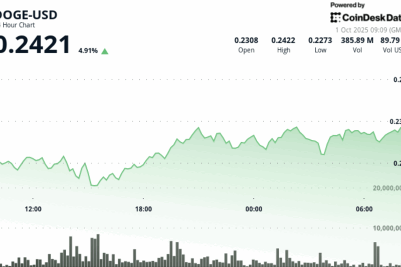 What Next as Dogecoin (DOGE) Zooms 6% on Bitcoin Strength