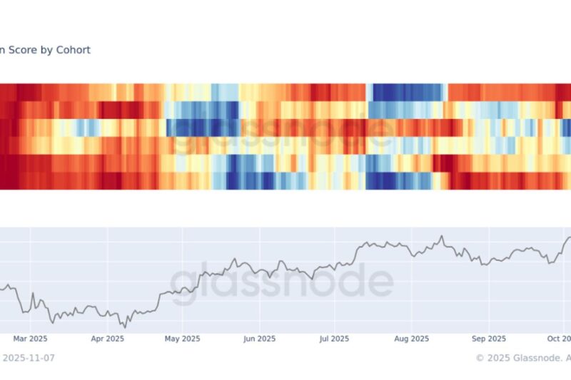 Bitcoin Whales vs Everyone Else, and the Whales Are Winning