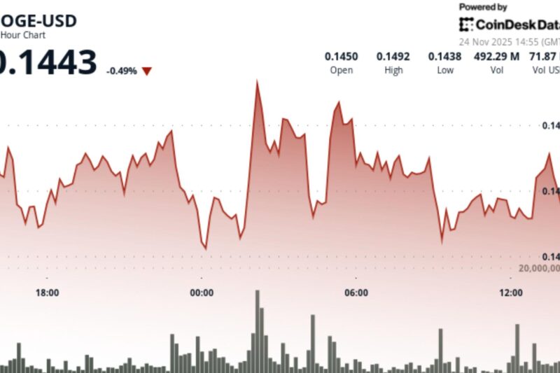What Next for DOGE Price as Grayscale’s GDOG ETF Debuts?