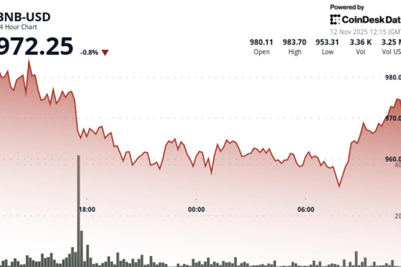 BNB Recovers Above $970 After Brief Drop as Market Volatility Pressures Token