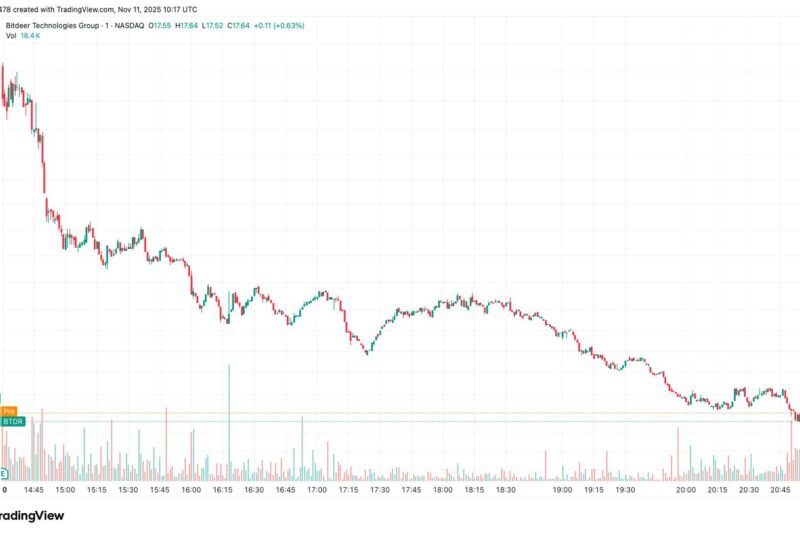 Bitdeer Fell 20% on Wider-Than-Estimated Net Loss, ASIC Chip Delay