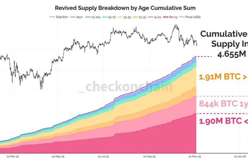Dormant Bitcoin Comes Back to Life as 4.65M BTC Reenters Circulation in 2025