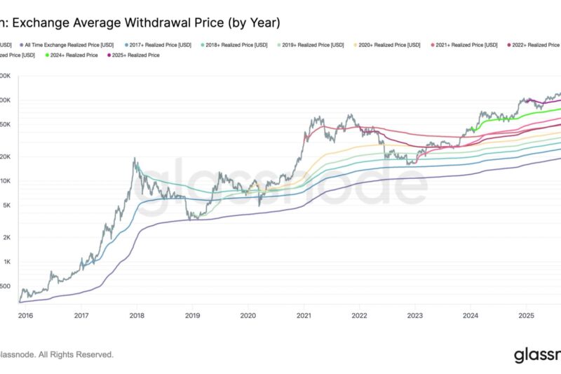 Bitcoin Correction Mirrors April Drop as 2025 Buyers Fall Into the Red