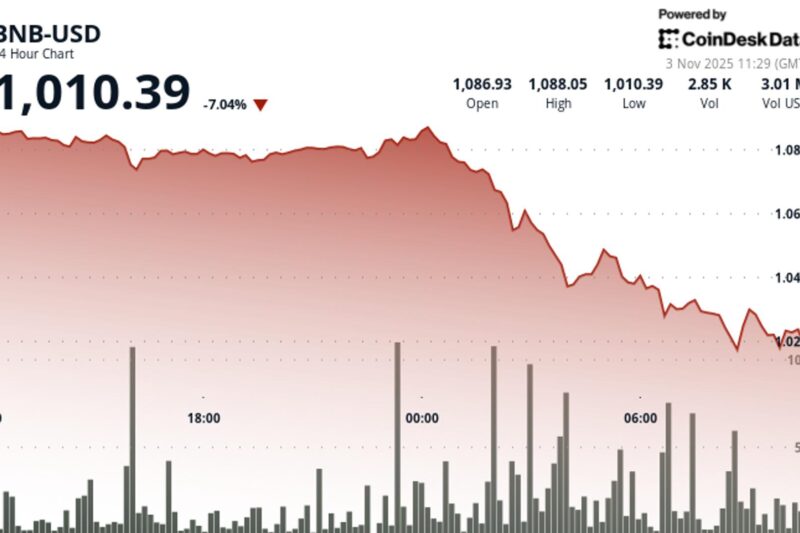 BNB Slides 6% as Price Breaks Below Key $1,080 Support Level