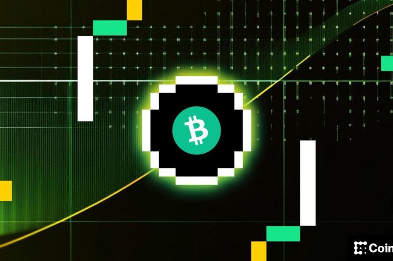 Bitcoin’s Volatility Meltdown: Crypto Daybook Americas