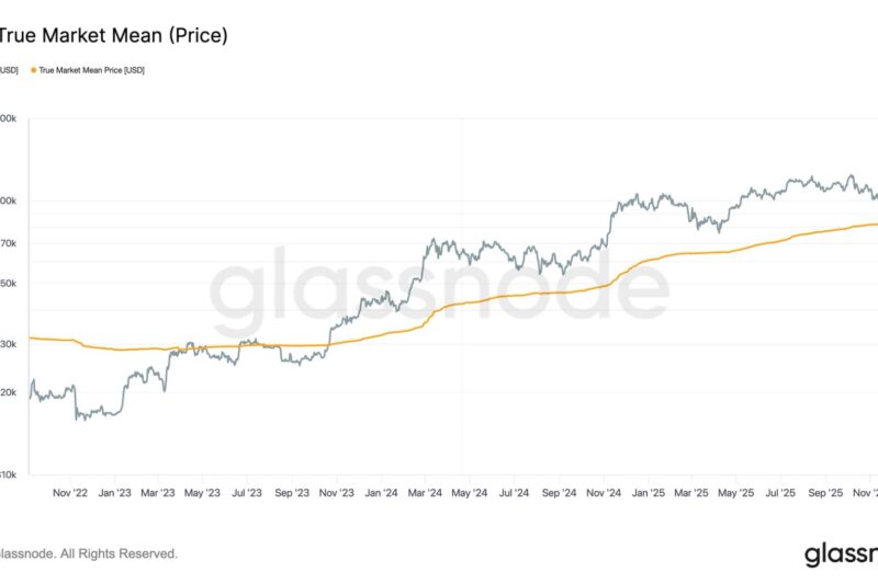 These Three Metrics Show Bitcoin Found Strong Support Near $80,000