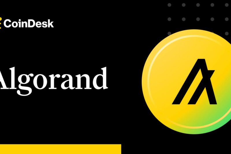 Algorand Foundation returns to U.S. amid friendlier crypto regulation under Trump