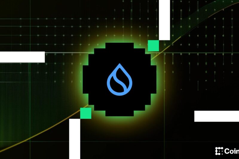 Sui Group charts new course for crypto treasuries with stablecoins and DeFi