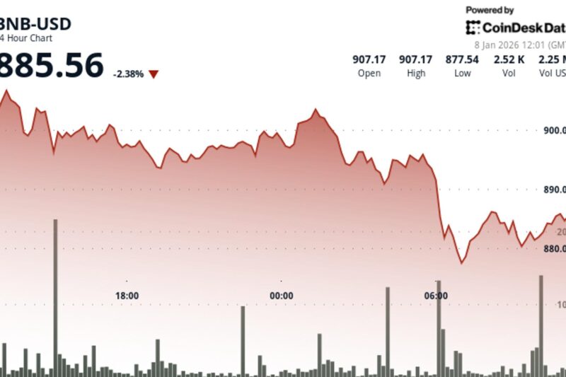 BNB falls below $885 as broader market pulls back and treasury tensions emerge