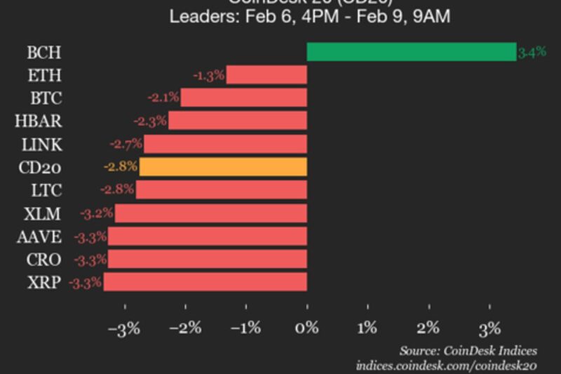 CoinDesk 20 performance update: Bitcoin Cash (BCH) is only gainer, up 3.4%