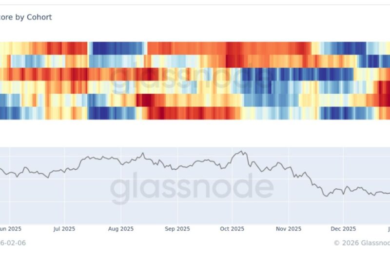 Broad-based bitcoin accumulation emerges after sharp capitulation