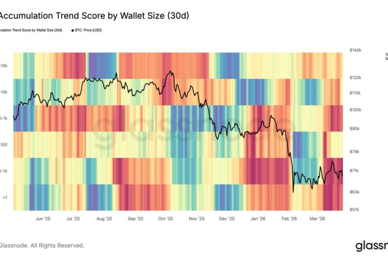 Retail investors drive widespread bitcoin selling as prices fall