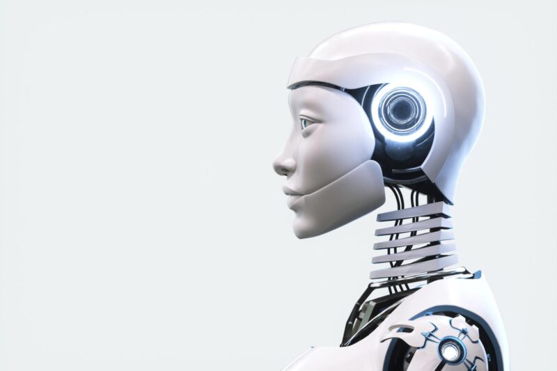 A beginner’s guide to AI