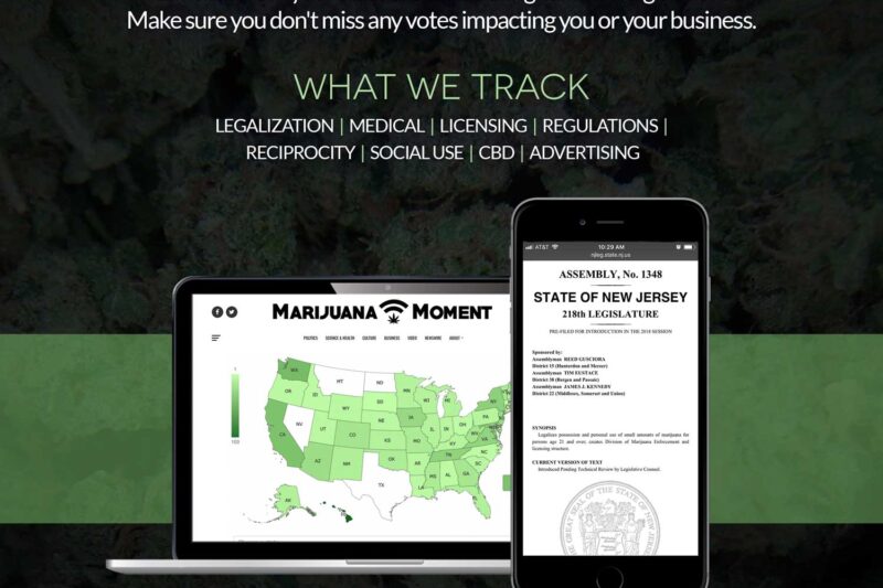 Maryland Psychedelics Task Force Is Extended Through 2027 With Governor’s Signature