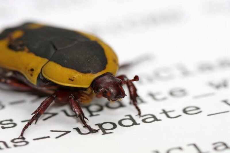 AI found an Ethereum bug that could take validators offline, but humans had to prove it